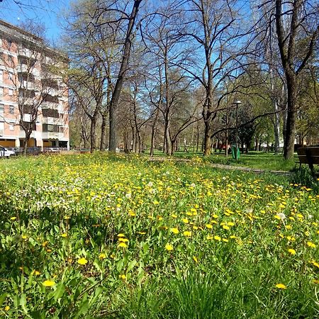 B&B Wiligelmo Intero Appartamento Con Colazione Inclusa Modena Exterior foto